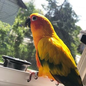 Meet your Posher, Monica